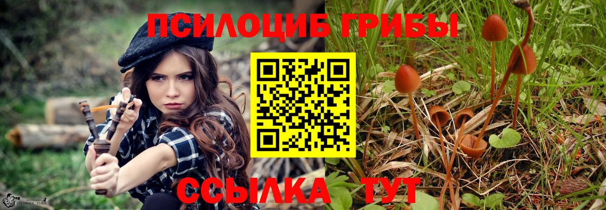 Галлюциногенные грибы Cubensis  Вход с VPN  Краснознаменск 